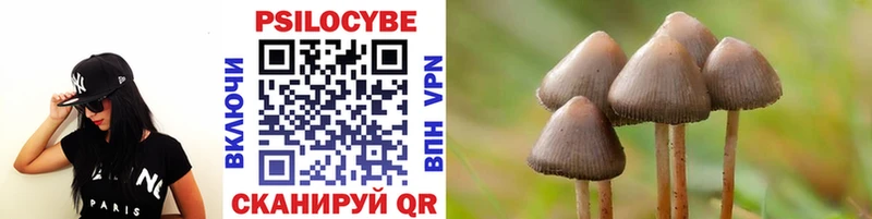МЕГА сайт  Октябрьск  Галлюциногенные грибы Psilocybe 